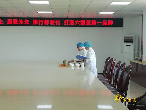 廣西速溶六堡茶工程技術研究中心通過自治區科技廳驗收